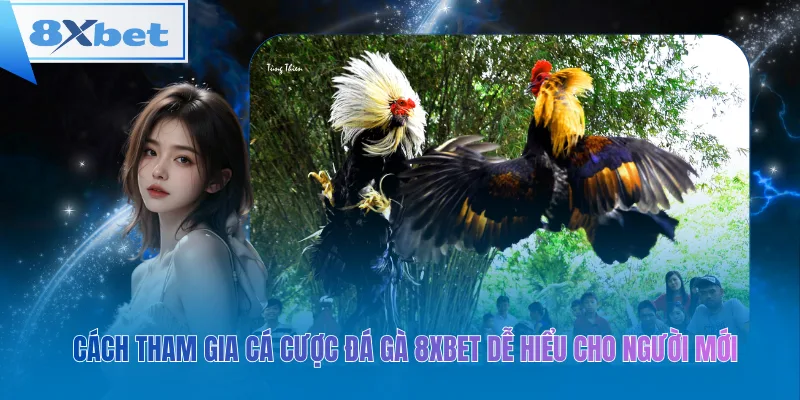 Cách tham gia cá cược đá gà 8xbet dễ hiểu cho người mới