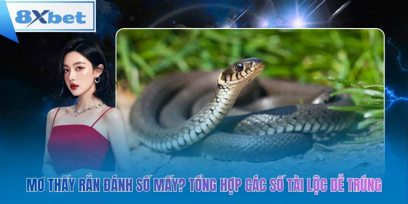 Mơ thấy rắn – Chọn số may mắn, trúng lớn dễ dàng!