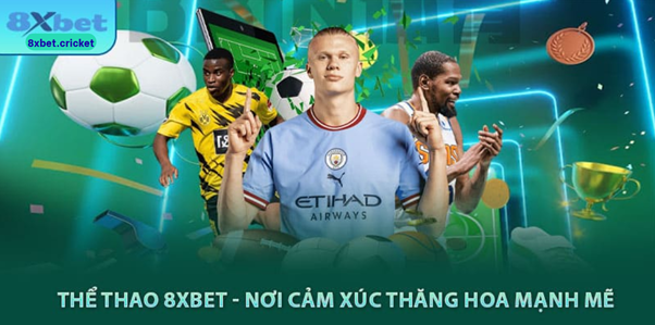 Chính sách chống gian lận và lạm dụng thưởng tại 8XBET đảm bảo công bằng cho người chơi